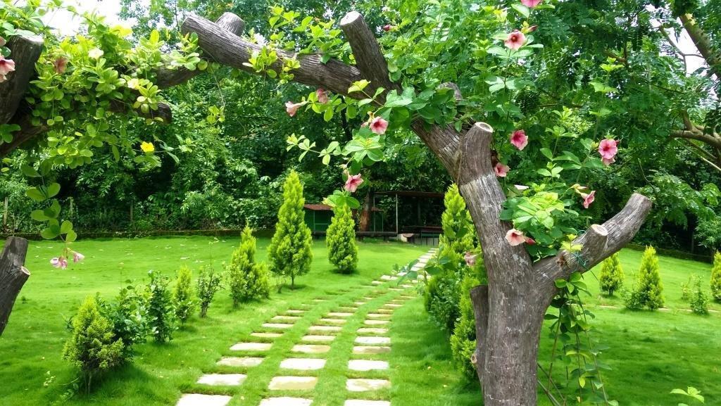Sparsh Resort & Chalet Kalamb  Luaran gambar